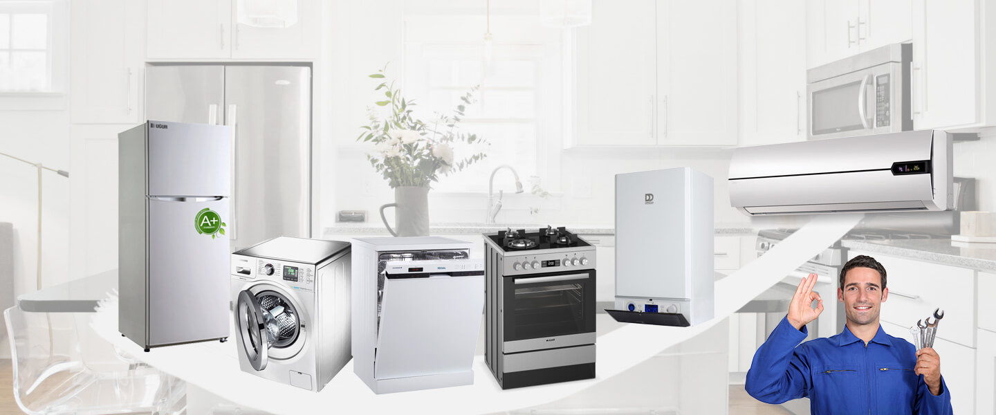 Güney Smeg Servisi